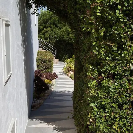 Pretty 3 Bedroom With Pool And Garden * カルヴォエイロ